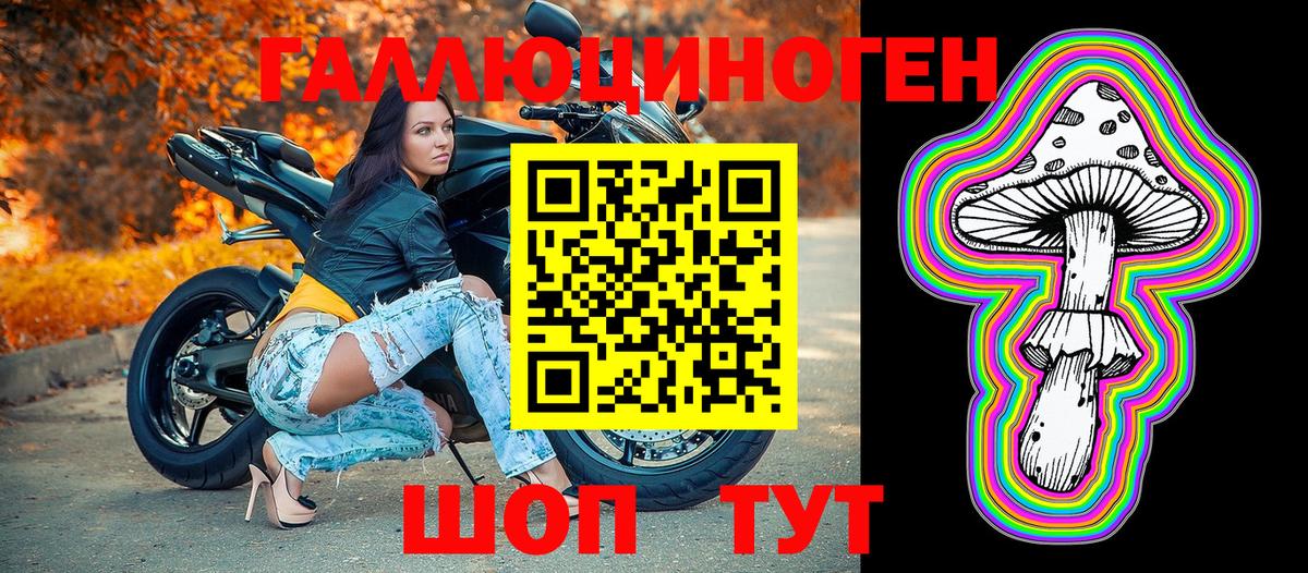 Зеленогорск  сколько стоит  Псилоцибиновые грибы мухоморы  Вход с VPN  Галлюциногенные грибы мухоморы 